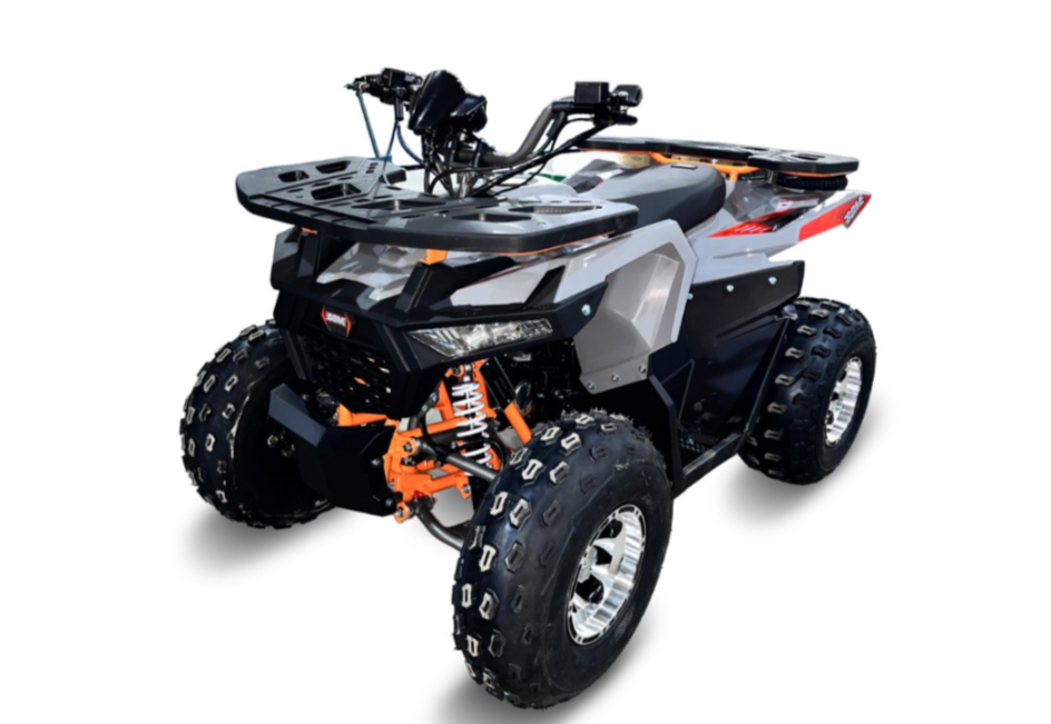 Квадроцикл GBM DAXTER 220 NEW PREMIUM в Сочи