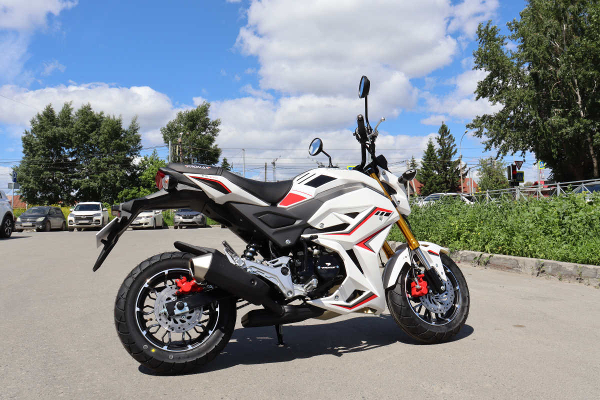 Мотоцикл PROMAX STRYKER 200(49) 2.0 в Сочи