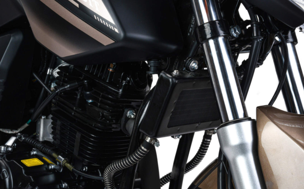 Мотоцикл MOTOLAND (МОТОЛЕНД) 300 BANDIT в Сочи