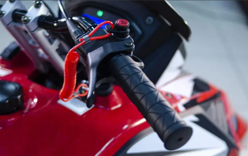 Снегоход Ataki WD 300 в Сочи