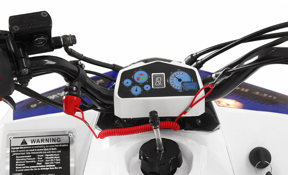 Квадроцикл Yacota Raposa PRO-SPORT в Сочи