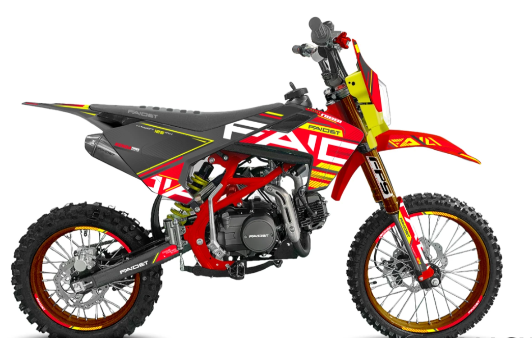 Питбайк FAIDET KAYOT 150E-PRO 19/16 в Сочи