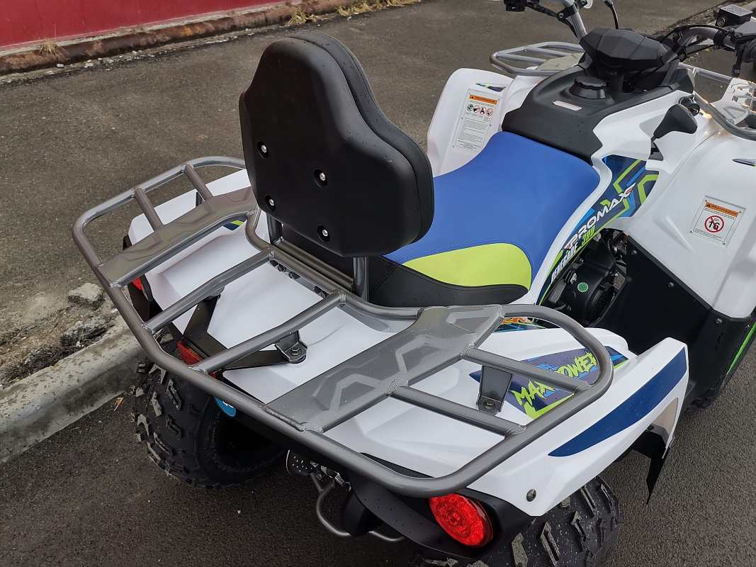 Квадроцикл PROMAX RENEGADE 280 LUX (2025) в Сочи