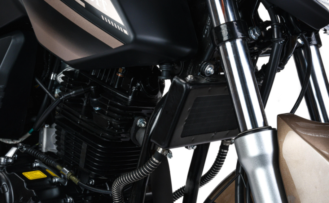 Мотоцикл MOTOLAND (МОТОЛЕНД) 300 BANDIT в Сочи