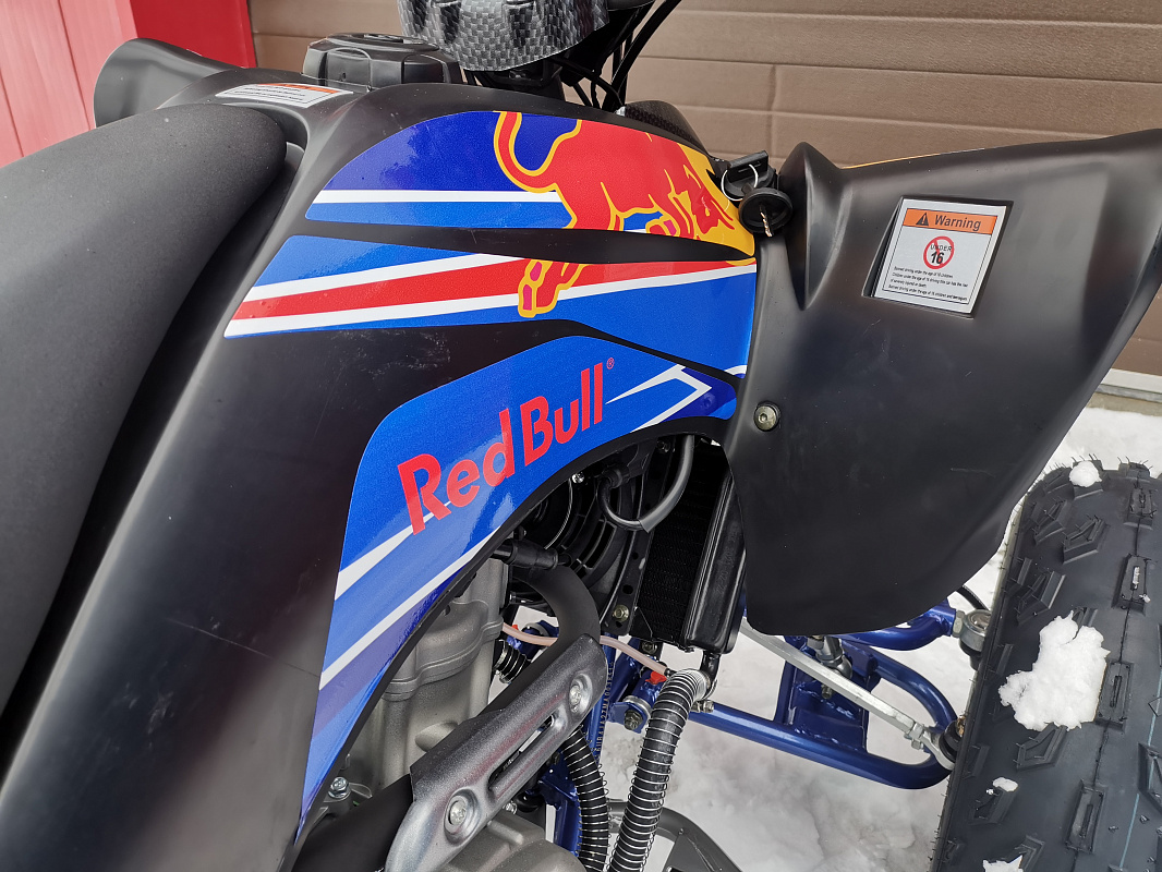 Квадроцикл PROMAX RAPTOR 300 NEW RedBull в Сочи
