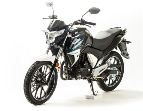 Мотоцикл MOTOLAND (МОТОЛЕНД) FIGHTER 250 в Сочи