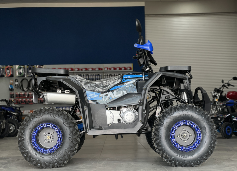 Квадроцикл PROMAX TAURUS 300 в Сочи