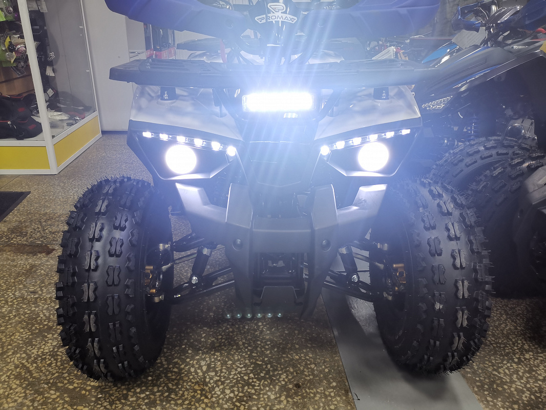 Квадроцикл PROMAX WILD 175 LUX в Сочи