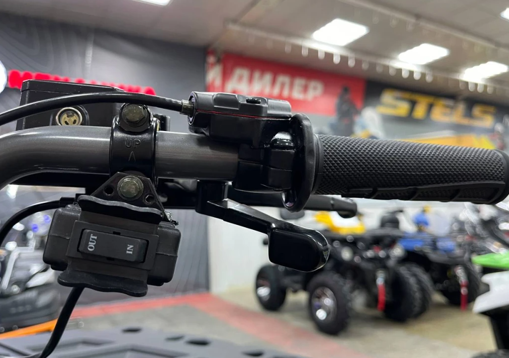 Квадроцикл PROMAX RENEGADE 300 LONG WINCH PRO (2025) в Сочи