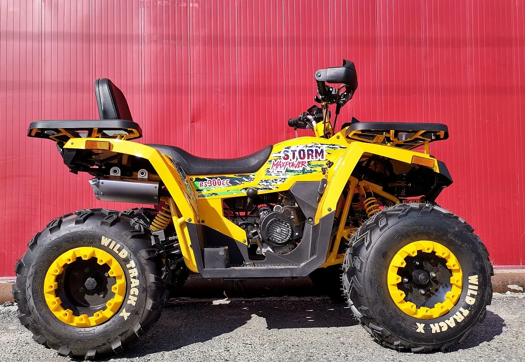 Квадроцикл PROMAX STORM 280 LUX в Сочи