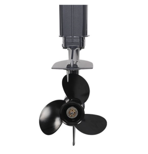 Лодочный мотор ALLFA CG Т40FW S в Сочи