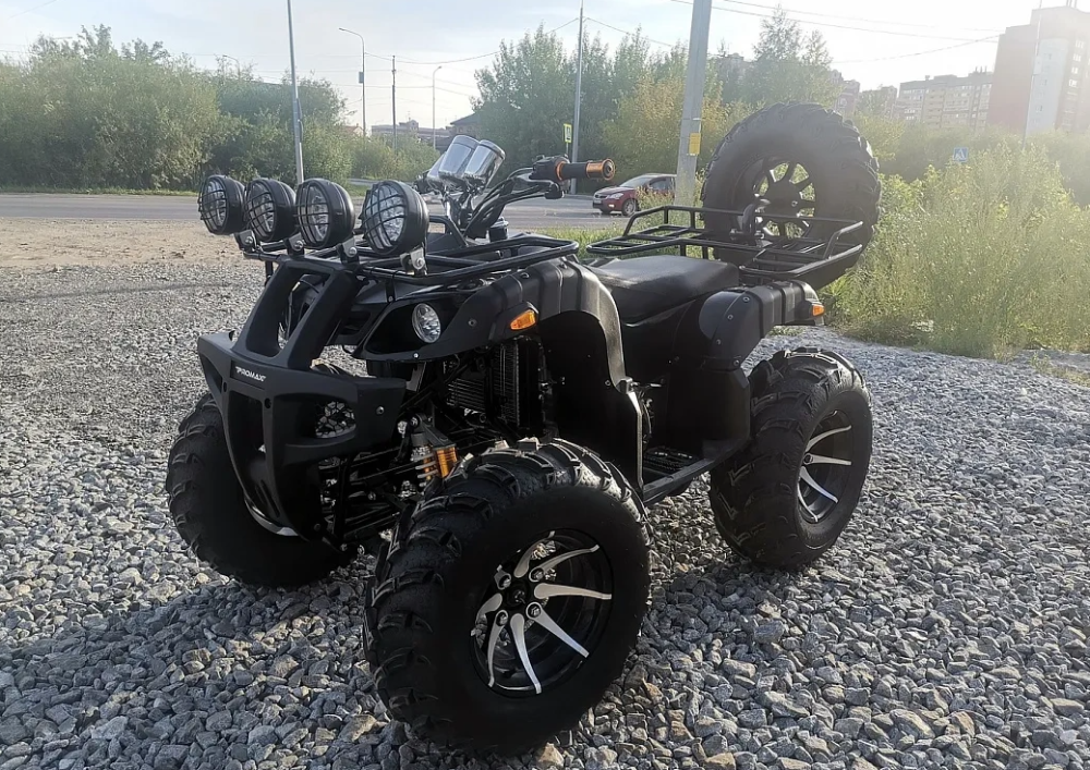 Квадроцикл PROMAX LEO 300 Max (кардан) в Сочи