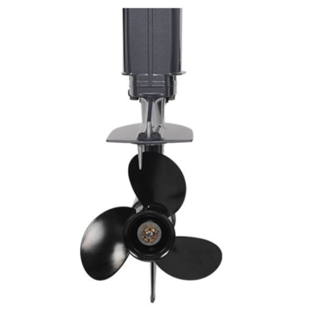 Лодочный мотор ALLFA CG Т40FWT S в Сочи