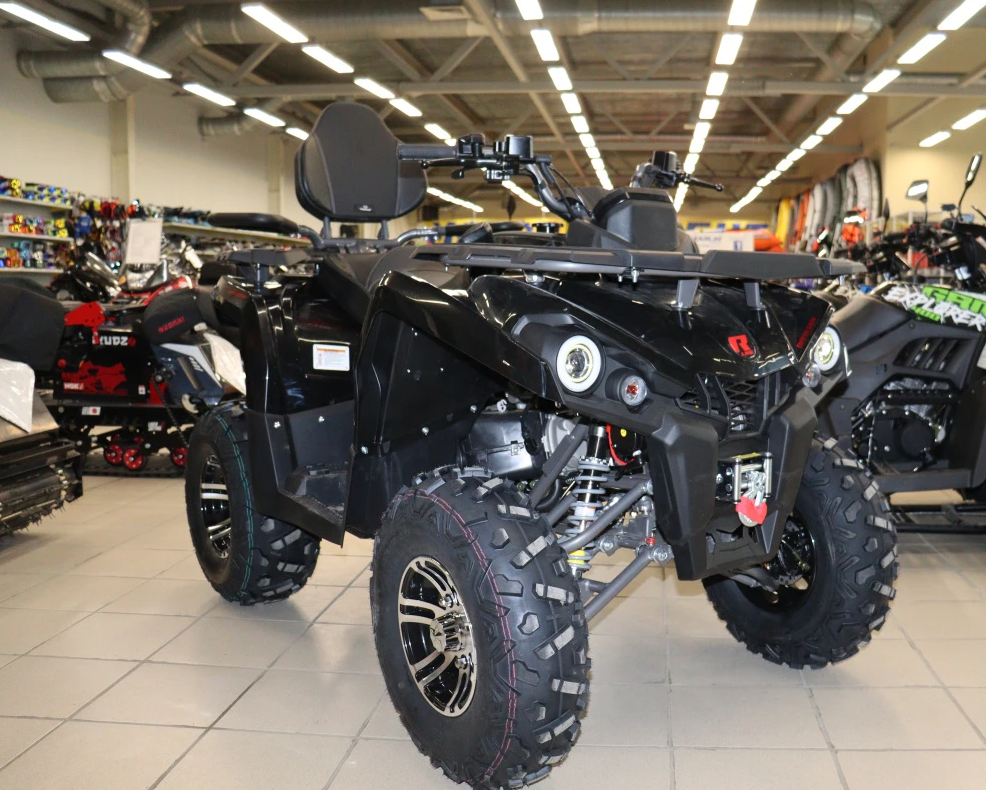 Квадроцикл PROMAX RENEGADE 300 LONG WINCH PRO (2025) в Сочи
