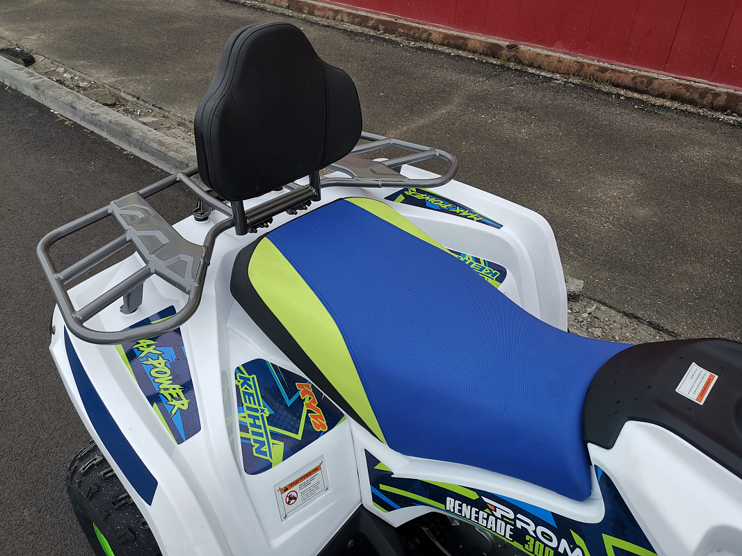 Квадроцикл PROMAX RENEGADE 280 LUX (2025) в Сочи