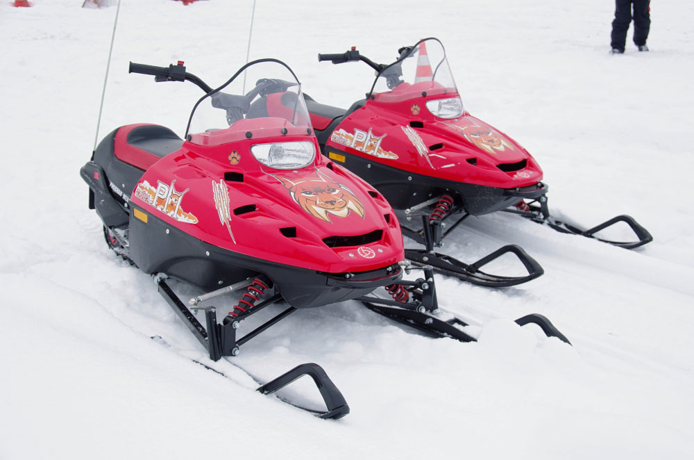 Снегоход РМ ТАЙГА РЫСЬ в Сочи