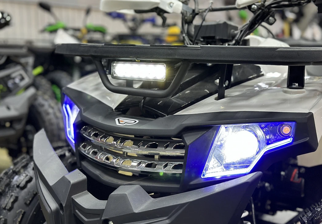 Квадроцикл PROMAX WILD 2.0 190 в Сочи