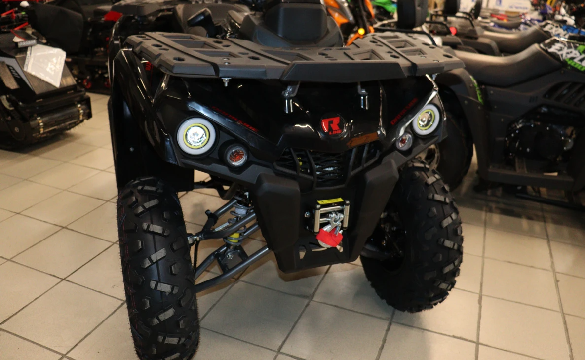 Квадроцикл PROMAX RENEGADE 300 LONG WINCH PRO (2025) в Сочи