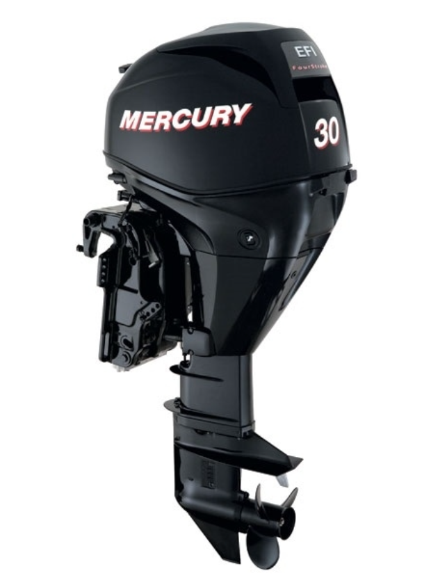 ЛОДОЧНЫЙ МОТОР MERCURY  F 30 ELH GA EFI в Сочи