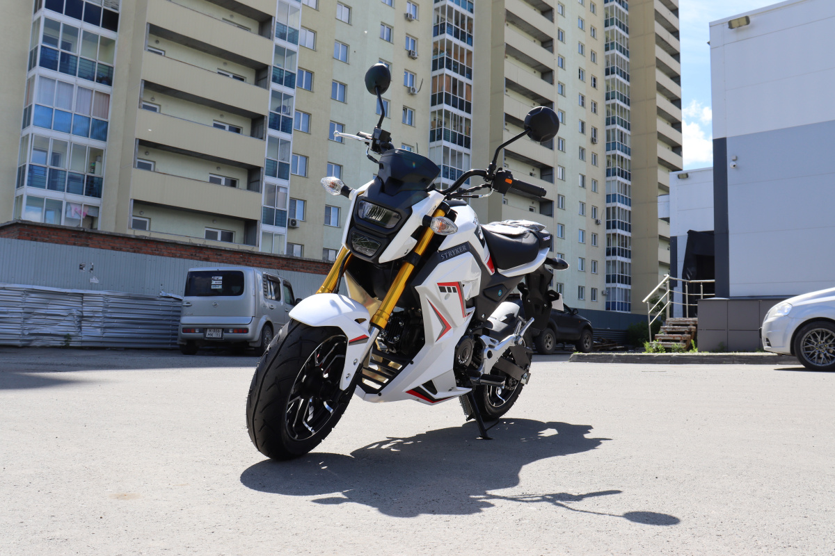 Мотоцикл PROMAX STRYKER 200(49) 2.0 в Сочи