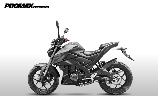 Мотоцикл PROMAX MT300 в Сочи