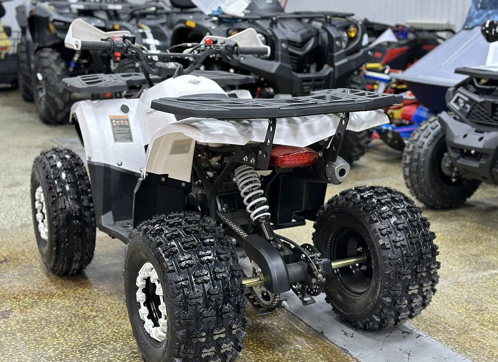 Квадроцикл PROMAX WILD 2.0 190 в Сочи