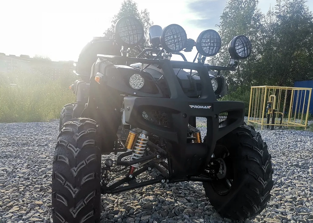 Квадроцикл PROMAX LEO 300 Max (кардан) в Сочи