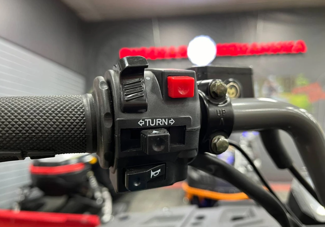 Квадроцикл PROMAX RENEGADE 300 LONG WINCH PRO (2025) в Сочи