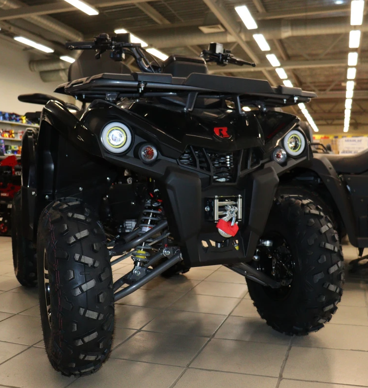 Квадроцикл PROMAX RENEGADE 300 LONG WINCH PRO (2025) в Сочи