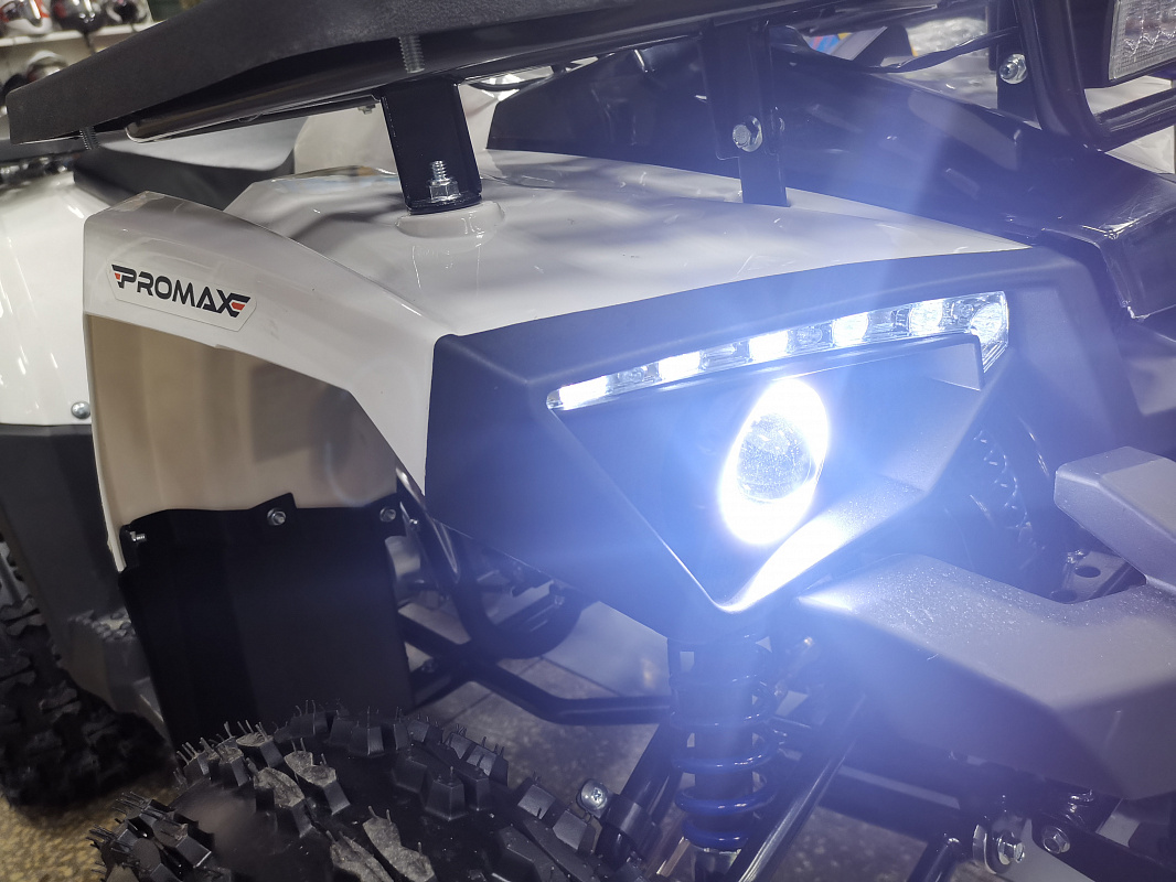 Квадроцикл PROMAX WILD 175 LUX в Сочи