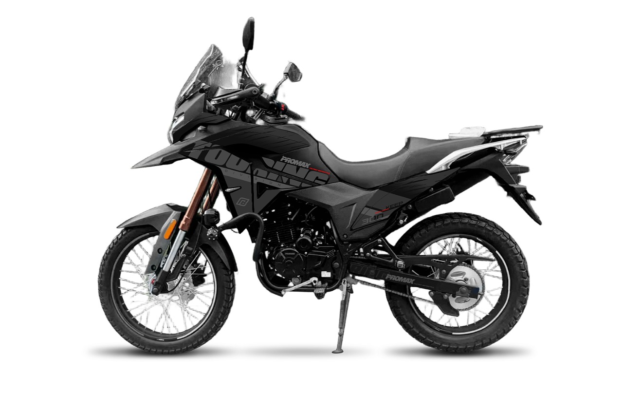 Мотоцикл PROMAX TOURING PR300 PRO (5 GEAR) в Сочи