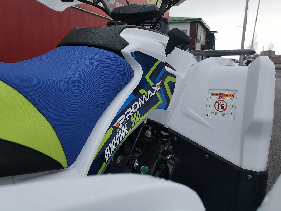Квадроцикл PROMAX RENEGADE 280 LUX (2025) в Сочи