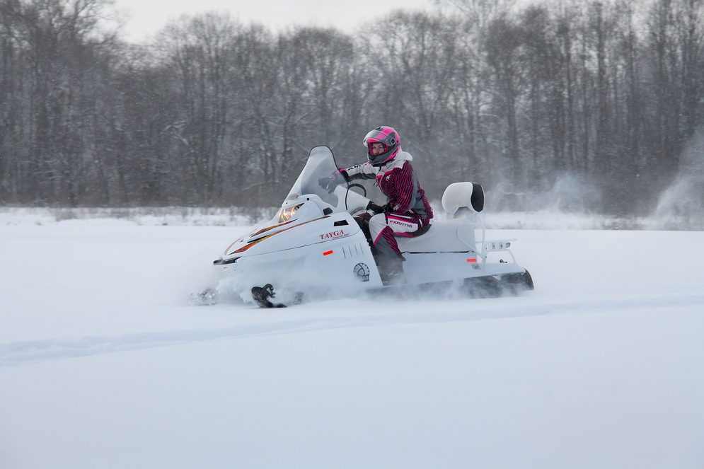 СНЕГОХОД РМ ТАЙГА ПАТРУЛЬ 551 SWT в Сочи