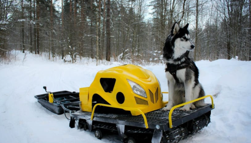 Мотобуксировщик LEBEDEV MOTORS ВОЛКОДАВ POWER V13 в Сочи