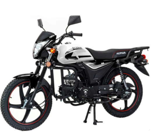 Мопед MOTOLAND (МОТОЛЕНД) Альфа RS 11 (LM48-B) в Сочи