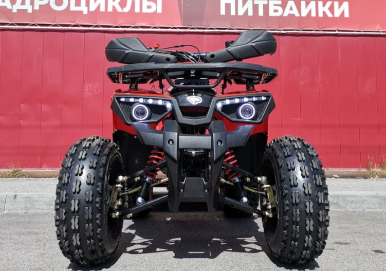 Квадроцикл PROMAX WILD 175 BASIC в Сочи