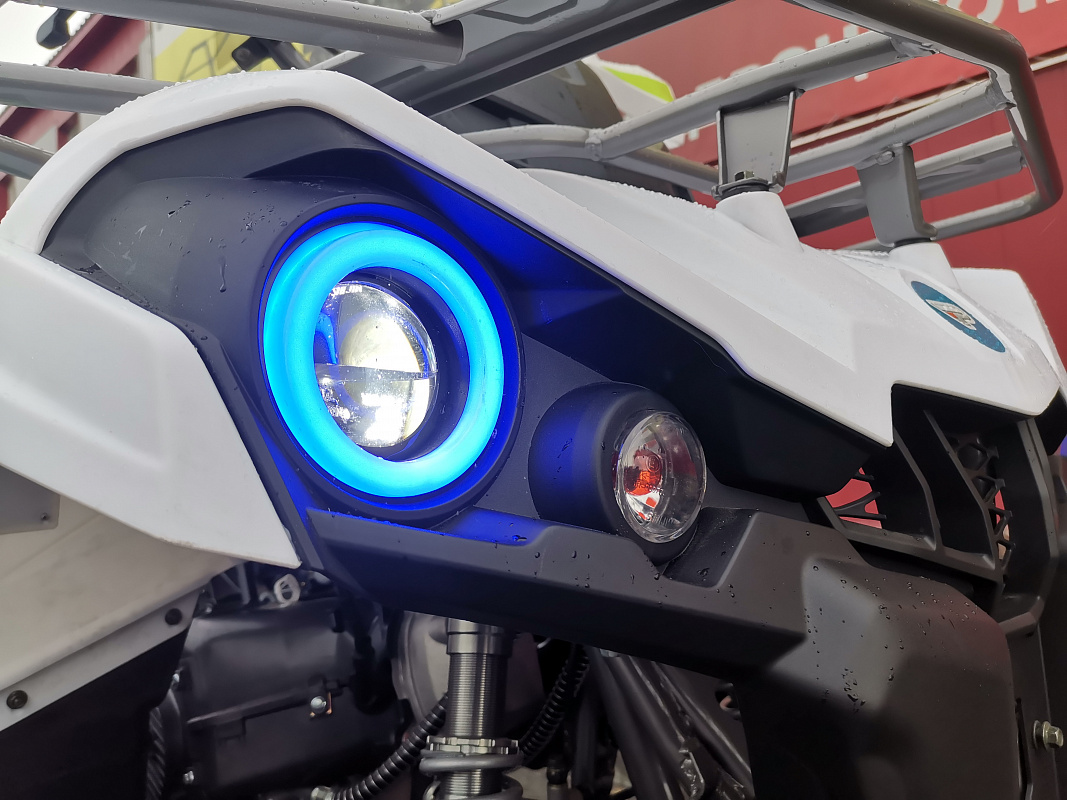 Квадроцикл PROMAX RENEGADE 280 LUX (2025) в Сочи