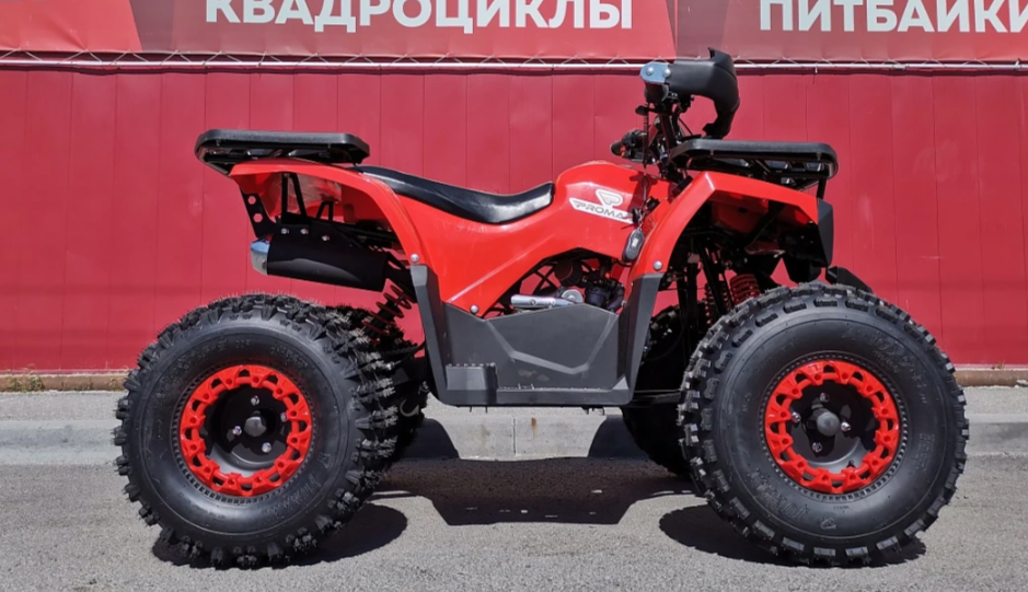 Квадроцикл PROMAX WILD 175 BASIC в Сочи
