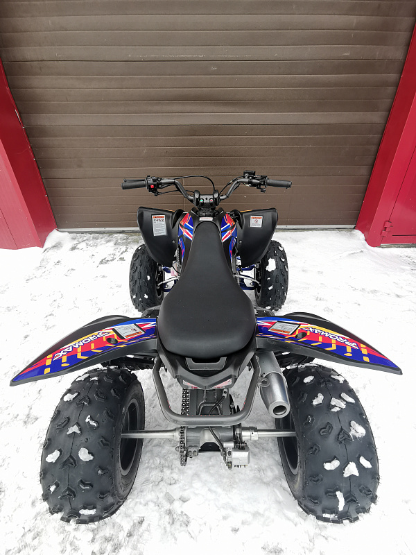 Квадроцикл PROMAX RAPTOR 300 NEW RedBull в Сочи