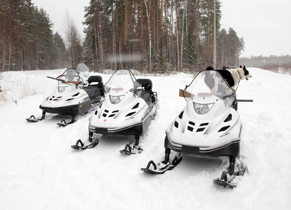 СНЕГОХОД РМ ТАЙГА ВАРЯГ 550 V в Сочи