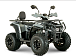 Квадроцикл YACOTA DRAGON LUX LD 150 PRO-SPORT в Сочи