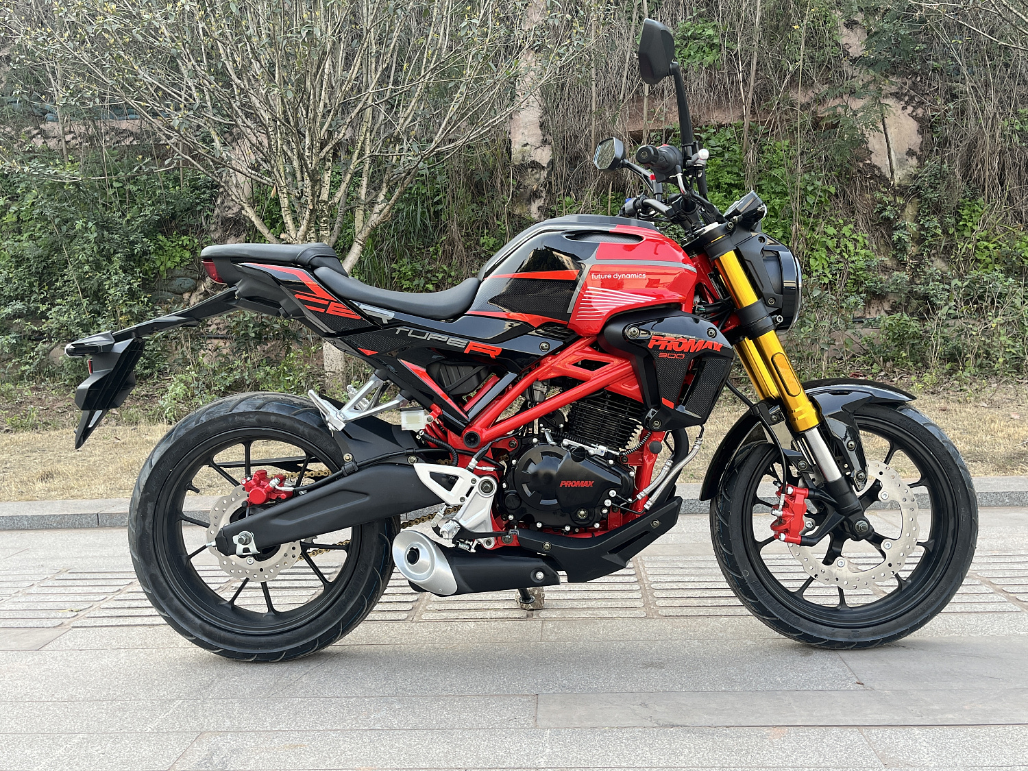 Мотоцикл PROMAX CB300 в Сочи