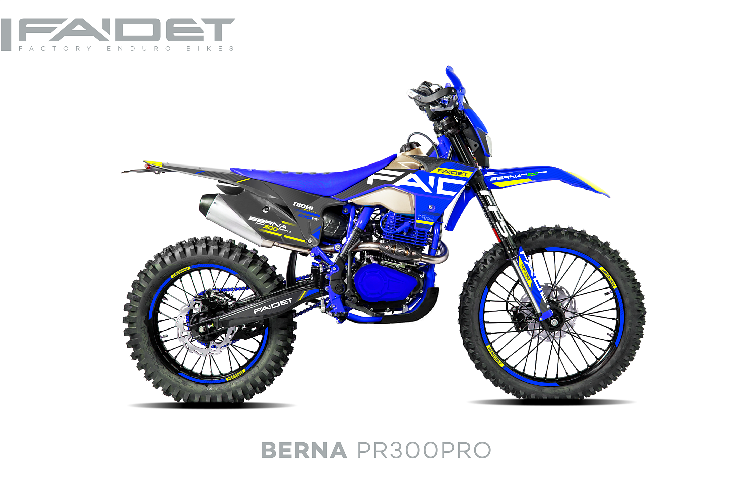 Кроссовый мотоцикл FAIDET BERNA PR300-PRO FPS в Сочи