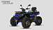 Квадроцикл PROMAX TAURUS 300 MAX-PRO LONG в Сочи