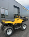 КВАДРОЦИКЛ IRBIS ATV 250  в Сочи