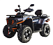 Квадроцикл MOTOLAND (МОТОЛЕНД) 300 MAX X в Сочи
