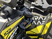 Квадроцикл PROMAX TAURUS 300 MAX-PRO в Сочи
