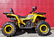 Квадроцикл PROMAX STORM 280 LUX в Сочи