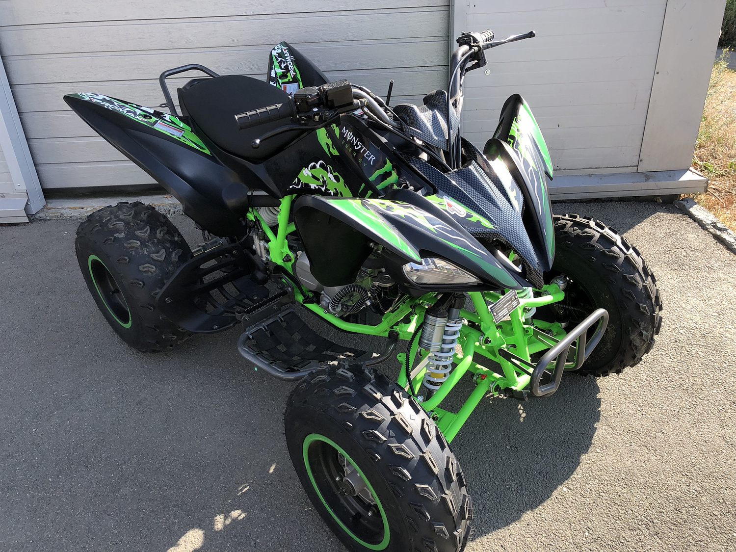 Квадроцикл PROMAX RAPTOR 300 NEW Monster в Сочи