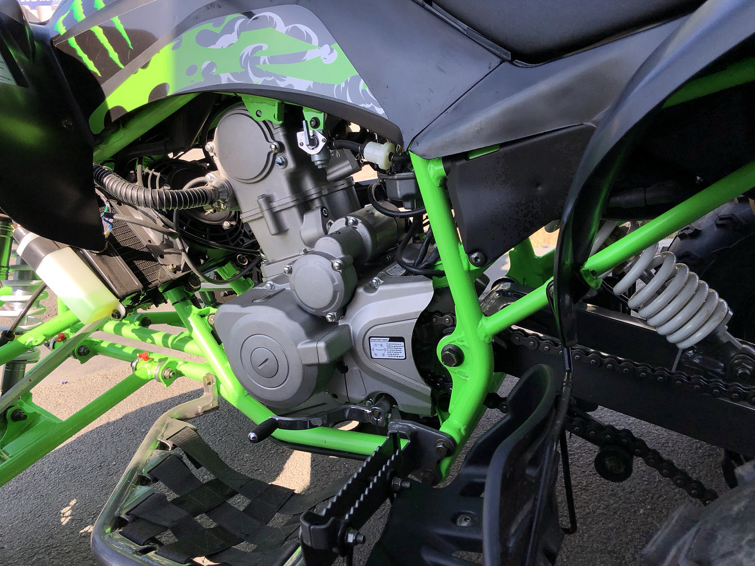 Квадроцикл PROMAX RAPTOR 300 NEW Monster в Сочи